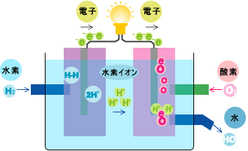 水素燃料電池の構造と原理